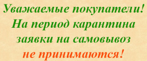 Работа в период карантина