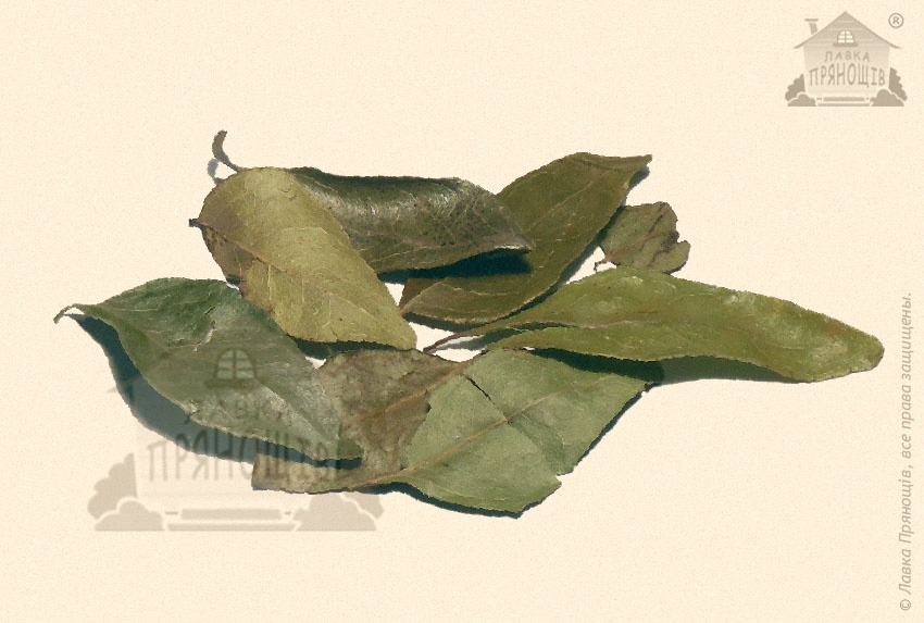 Листья карри в магазине Лавка пряностей - оригинальное фото